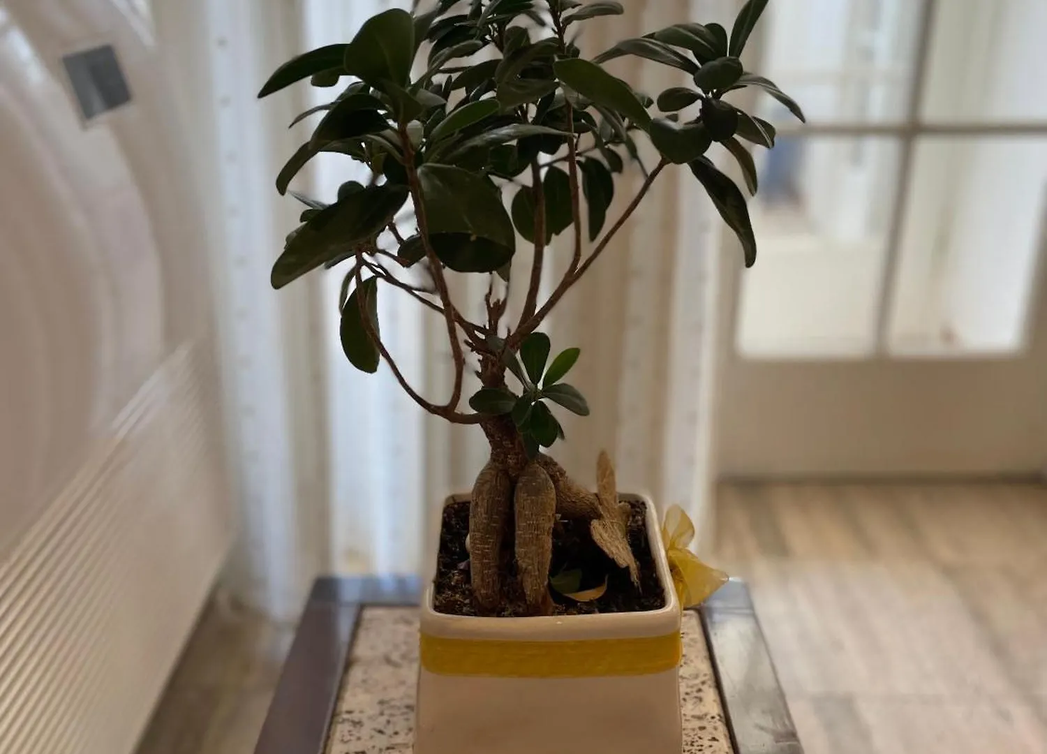 Apartment Lake 티라나